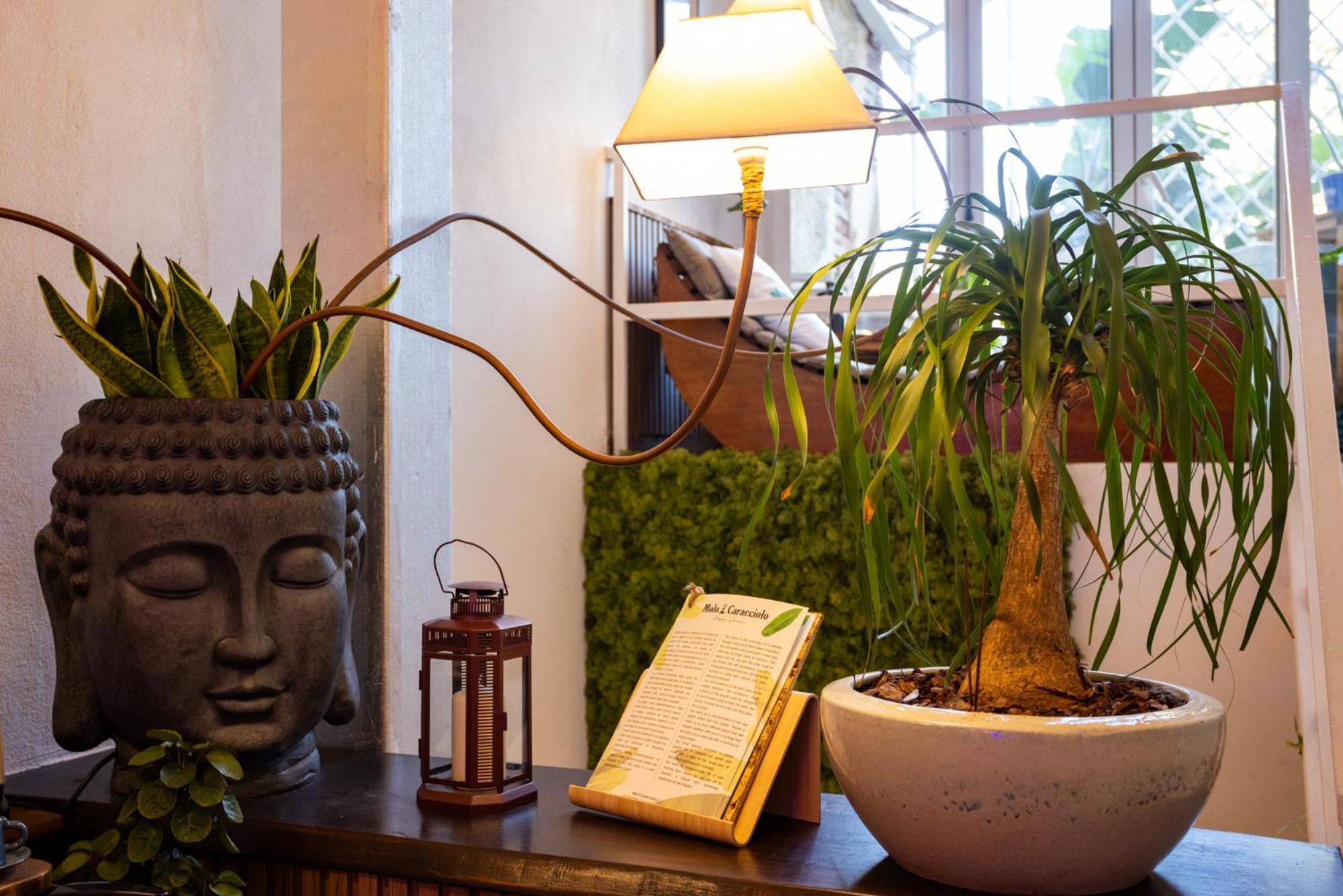 Molo Caracciolo Apartment Naples